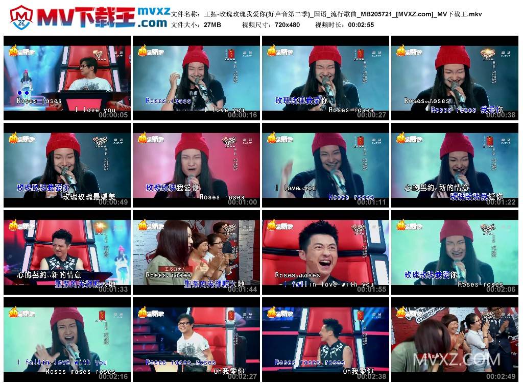 王拓-玫瑰玫瑰我爱你(好声音第二季)_国语_流行歌曲_MB205721